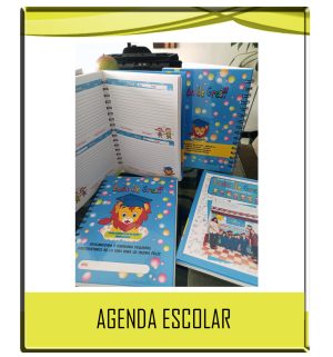 AGENDAS ESCOLARES